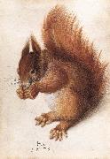 HOFFMANN, Hans Squirrel wf oil on canvas